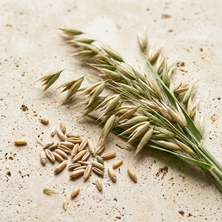 Beta-Glucan